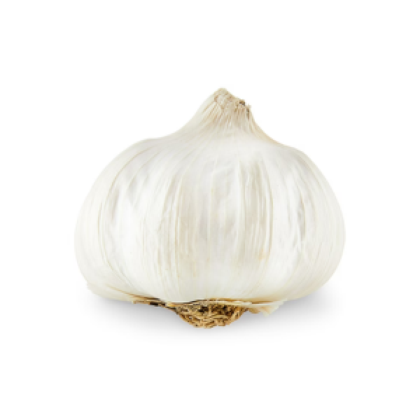 Ball Garlic