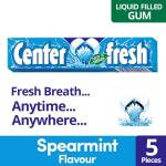 Center Fresh 15G 5P Fresh Mint Gum