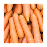 Fresh Sweet Carrot
