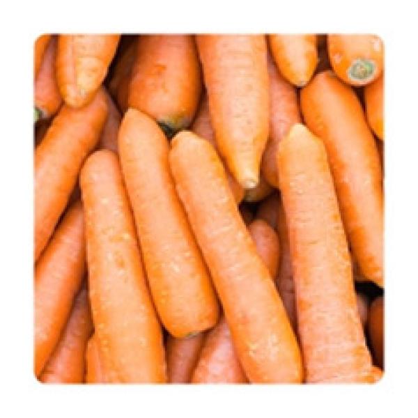 Fresh Sweet Carrot