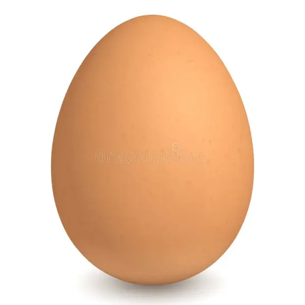 Egg