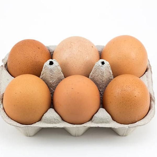 Egg X6