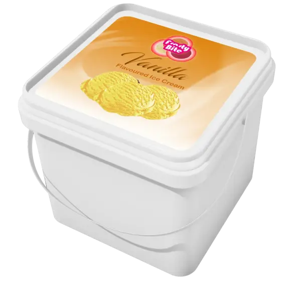 Frosty Bite 5litre Vanilla Ice Cream