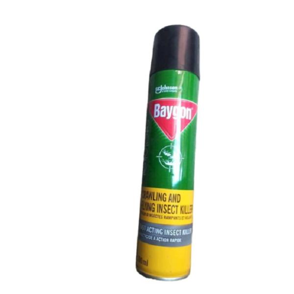 Baygon 300ml Crawling and flying insect killer